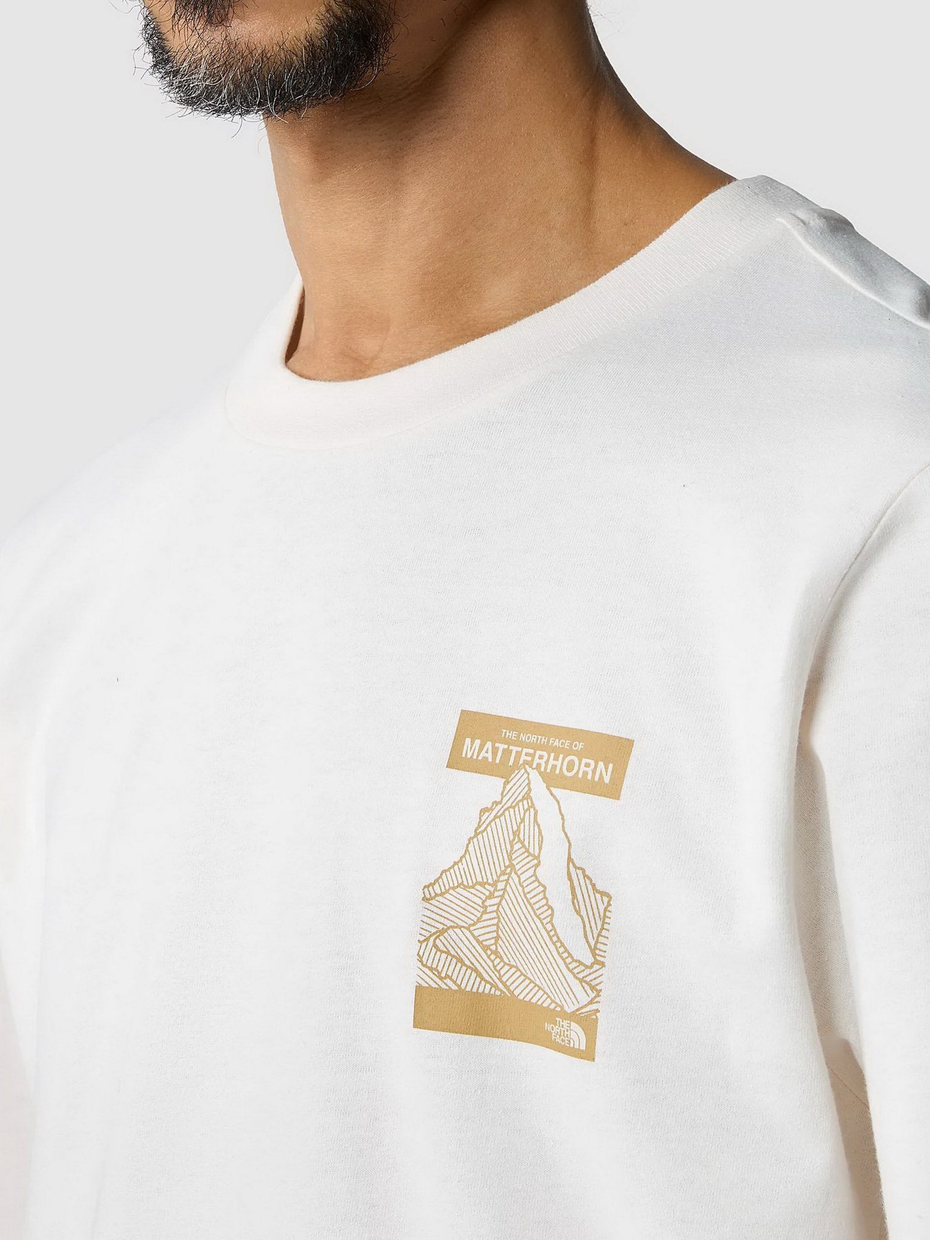 Лонгслів The North Face Matterhorn модель NF0A854BN3N1 Фото