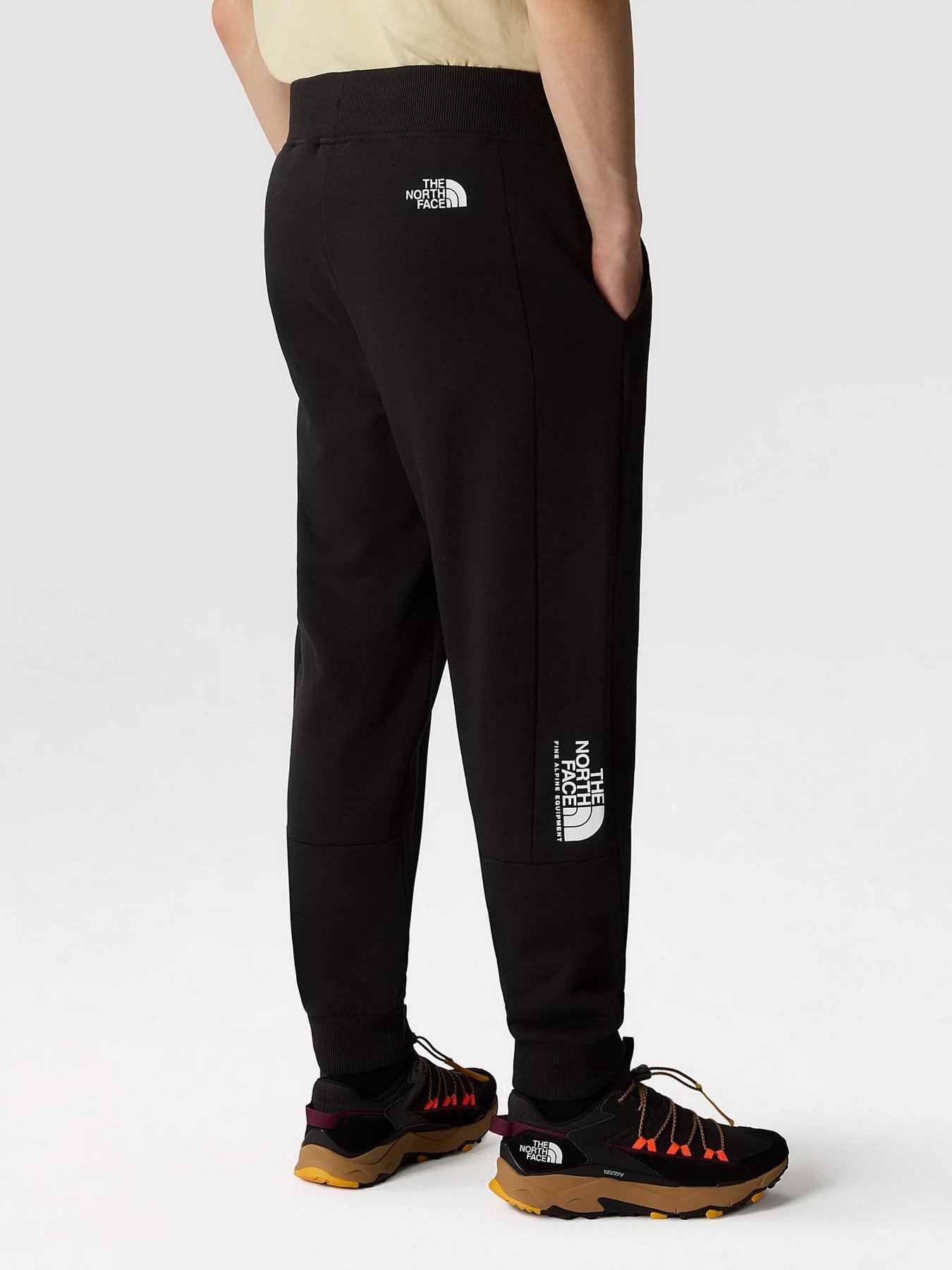 Штаны спортивные The North Face Fine Alpine модель NF0A8584JK31 Фото