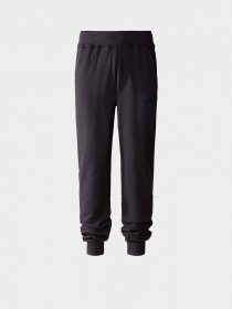 Штаны спортивные The North Face Fine Alpine модель NF0A8584JK31 Фото