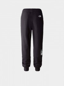 Штаны спортивные The North Face Fine Alpine модель NF0A8584JK31 Фото