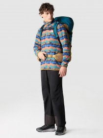 Спортивні штани The North Face Dryzzle FUTURELIGHT™ Full Zip модель NF0A4AHLJK31 Фото