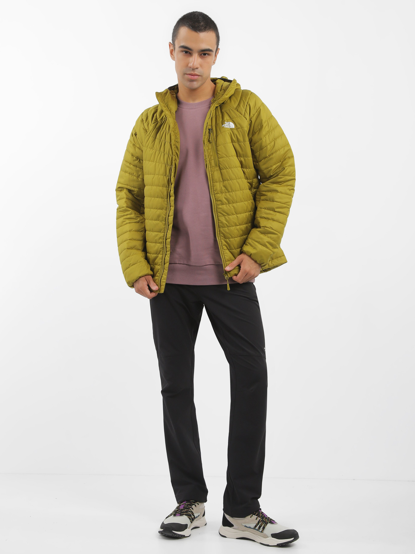 Демісезонна куртка The North Face Grivola модель NF0A4M79I0N1 Фото