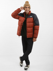 Пуховик The North Face Diablo Down модель NF0A4M9JWEW1 Фото