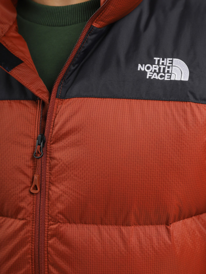 Пуховик The North Face Diablo Down модель NF0A4M9JWEW1 — фото 4 - INTERTOP