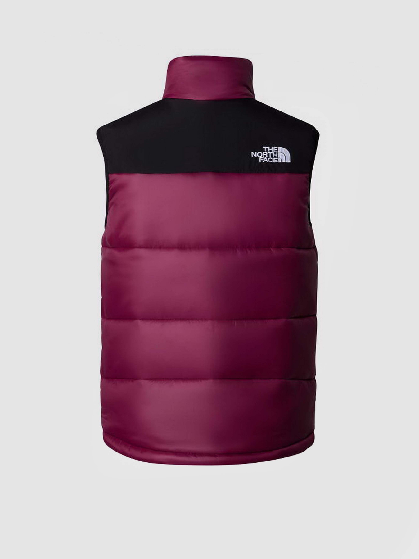 Жилет с утеплителем The North Face HIMALAYAN INSULATED модель NF0A4QZ4KK91 Фото