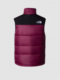 Жилет с утеплителем The North Face HIMALAYAN INSULATED модель NF0A4QZ4KK91 Фото