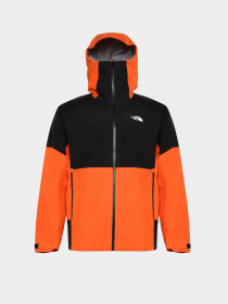 Зимняя куртка The North Face Jazzi GTX модель NF0A851K2111 Фото