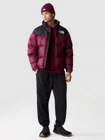 Зимова куртка The North Face 1996 Nuptse модель NF0A3C8DKK91 Фото