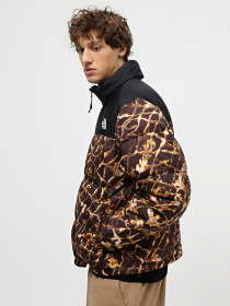 Зимова куртка The North Face 1996 Retro Nuptse модель NF0A3C8DOS31 Фото