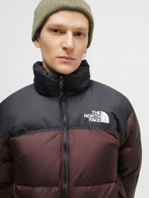 Зимняя куртка The North Face 1996 Nuptse модель NF0A3C8DLOS1 Фото