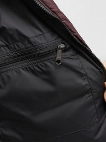 Зимняя куртка The North Face 1996 Nuptse модель NF0A3C8DLOS1 Фото