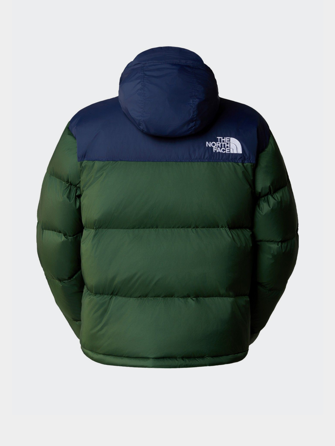 Зимова куртка The North Face 1996 Nuptse модель NF0A3C8DOAS1 Фото
