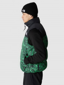Жилет с утеплителем The North Face 1996 RETRO NUPTSE GILET модель NF0A3JQQOSZ1 Фото