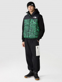 Жилет с утеплителем The North Face 1996 RETRO NUPTSE GILET модель NF0A3JQQOSZ1 Фото