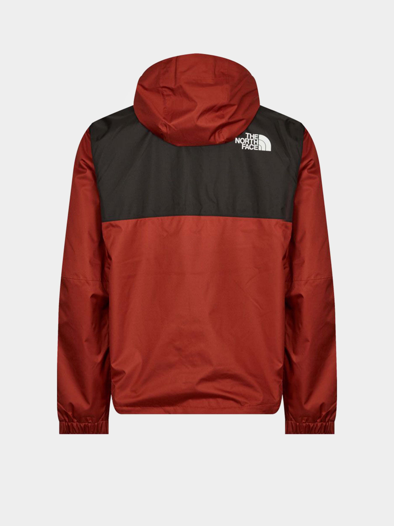 Ветровка The North Face Mountain модель NF0A5IG2WEW1 Фото