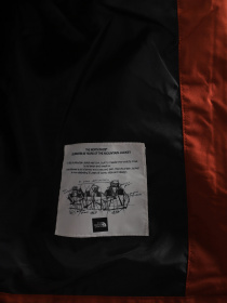 Ветровка The North Face Mountain модель NF0A5IG2WEW1 Фото