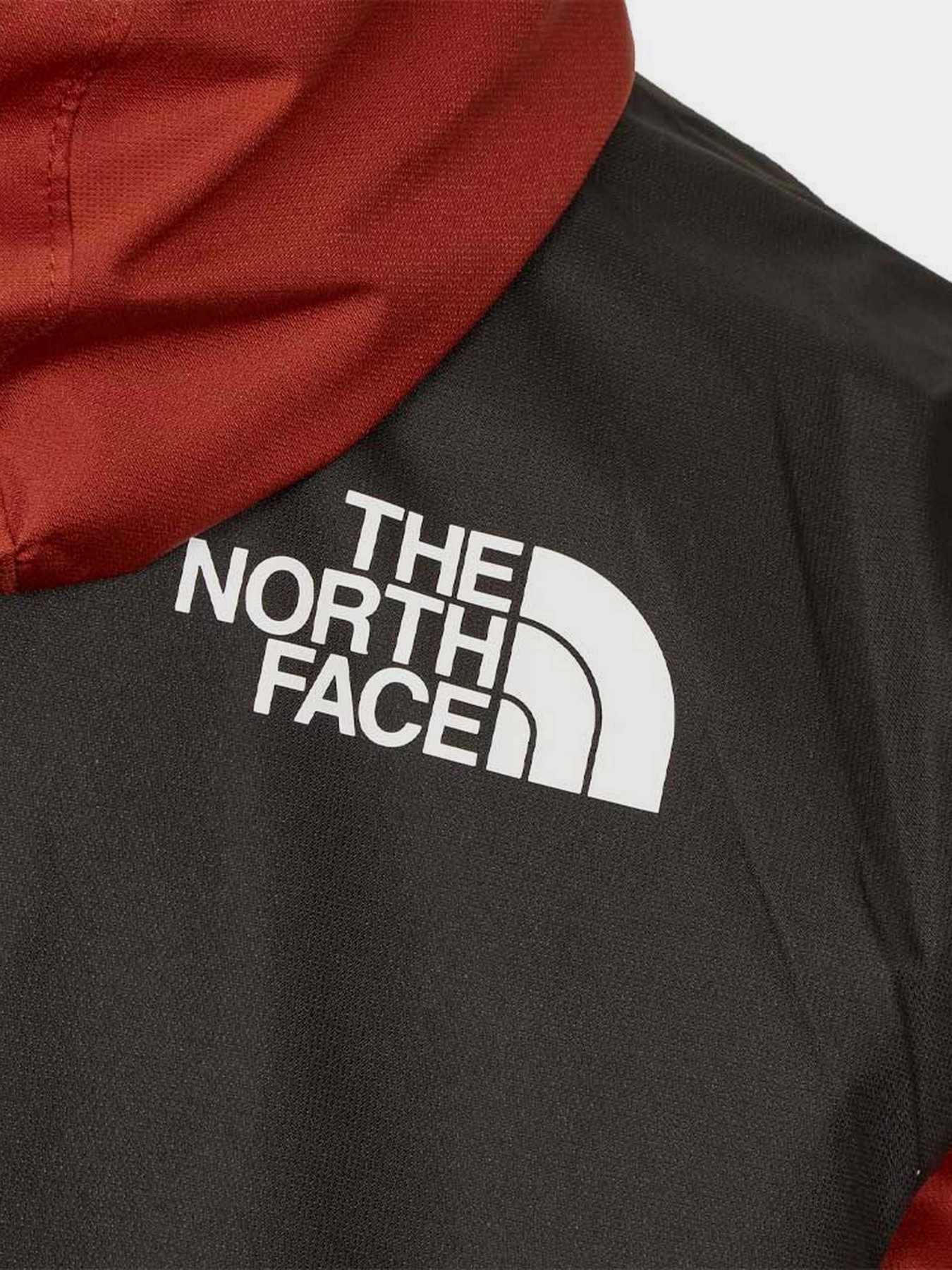 Ветровка The North Face Mountain модель NF0A5IG2WEW1 Ветровка The North Face Mountain модель NF0A5IG2WEW1 Фото
