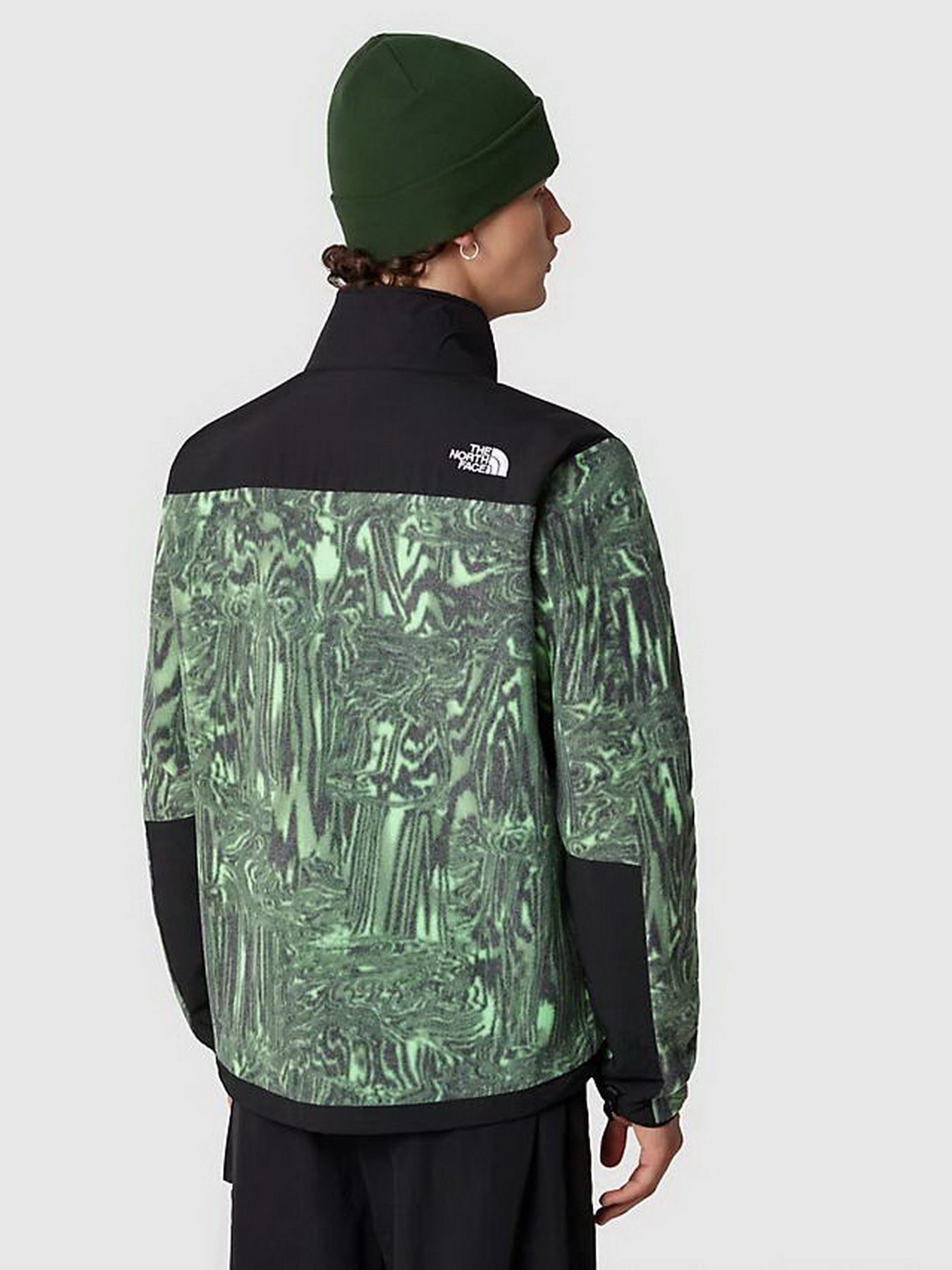 Кофта The North Face DENALI модель NF0A7UR2OSZ1 Фото