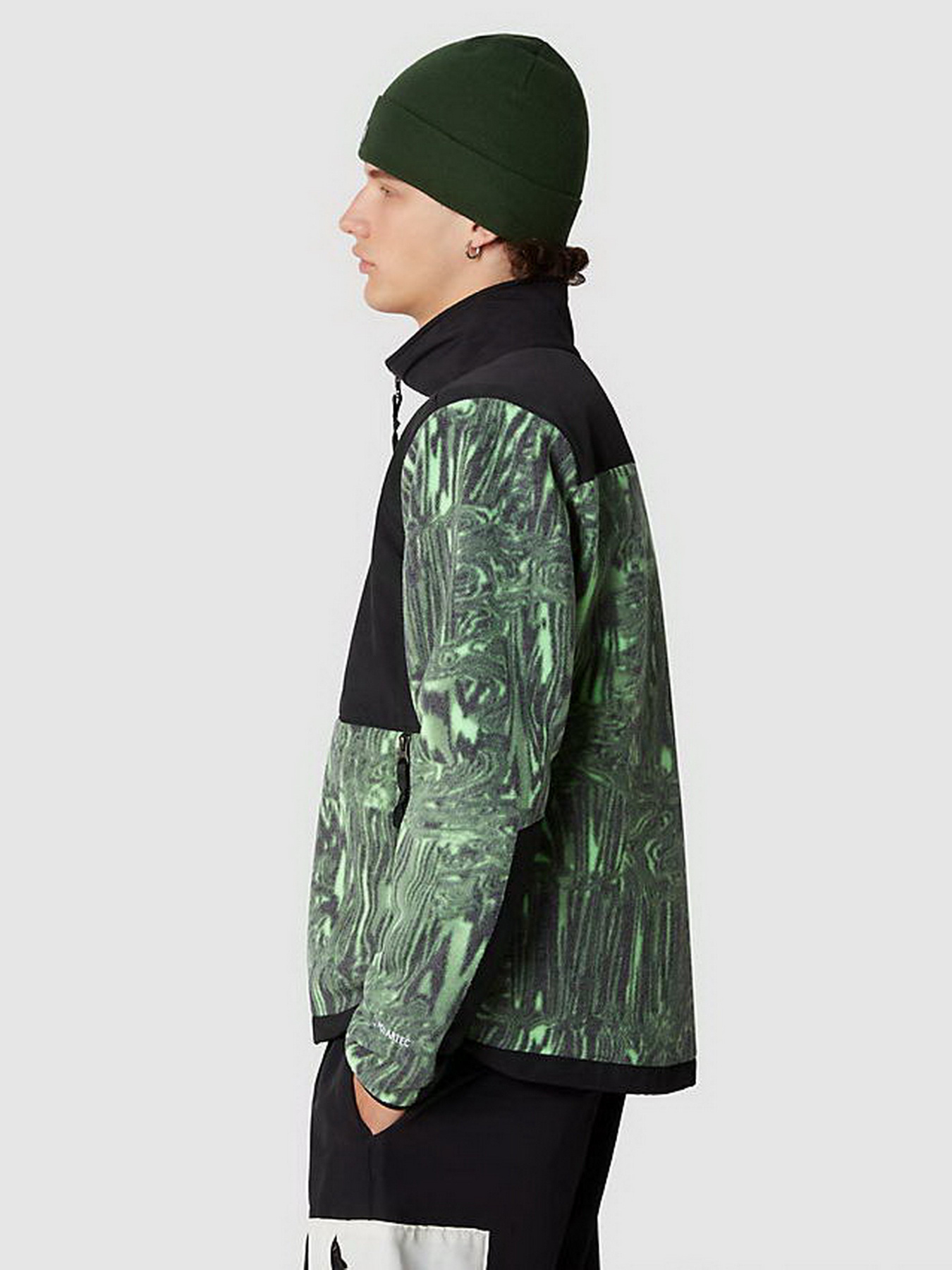 Кофта The North Face DENALI модель NF0A7UR2OSZ1 Фото