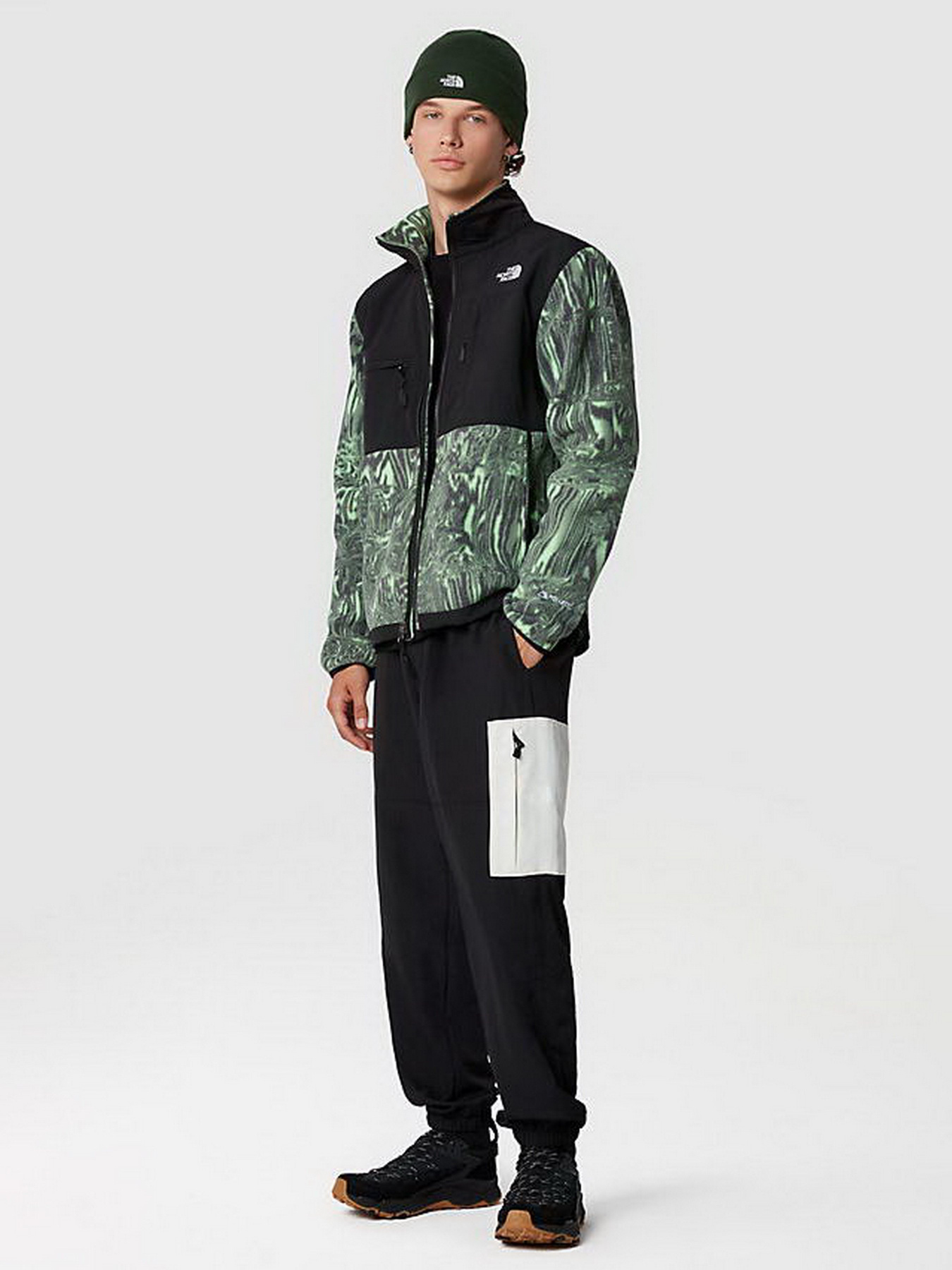 Кофта The North Face DENALI модель NF0A7UR2OSZ1 Фото