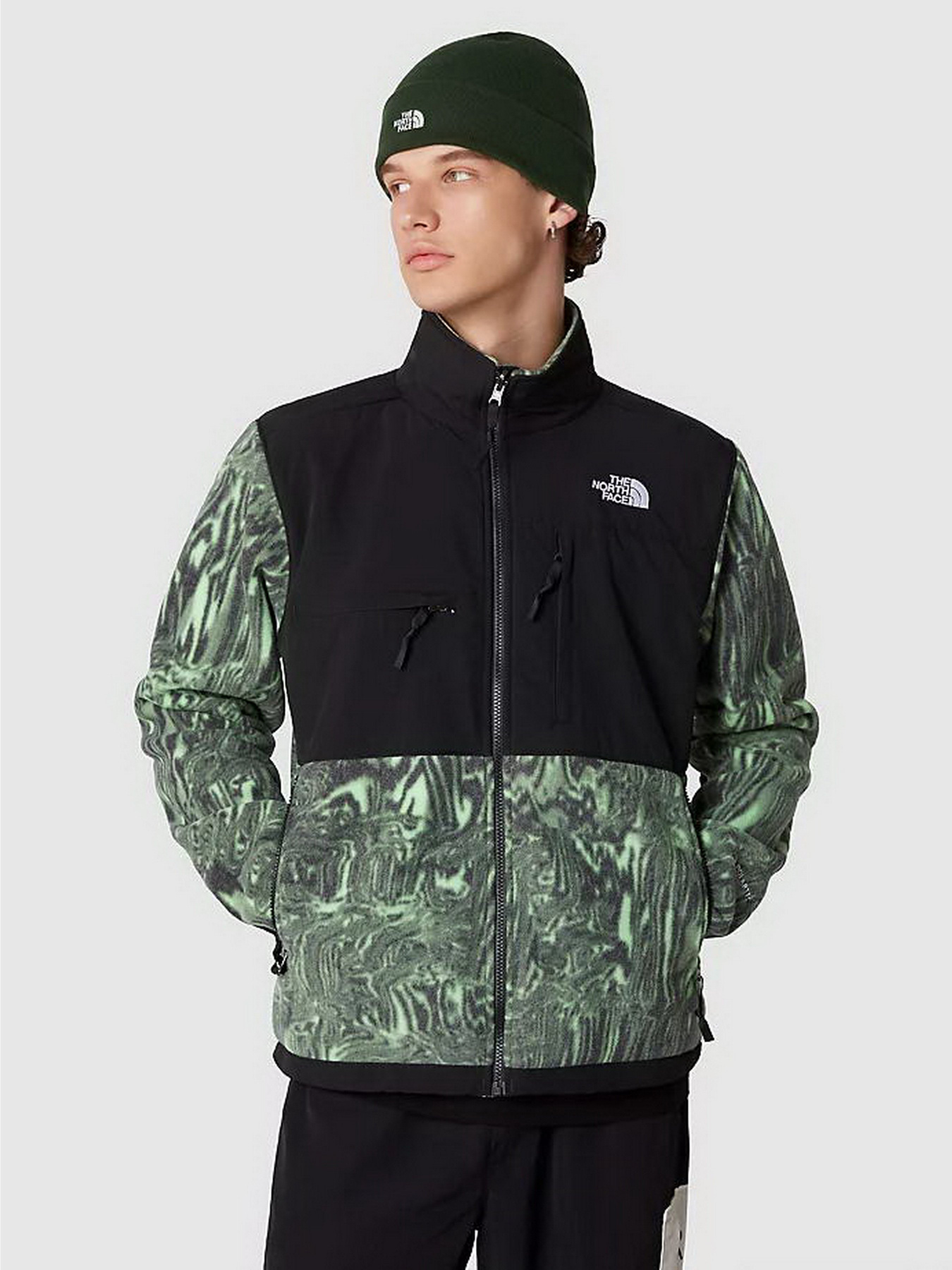 Кофта The North Face DENALI модель NF0A7UR2OSZ1 Фото