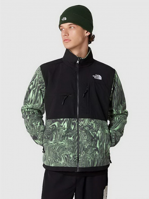 Кофта The North Face DENALI модель NF0A7UR2OSZ1 Фото