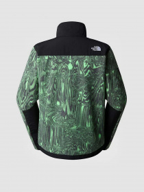 Кофта The North Face DENALI модель NF0A7UR2OSZ1 Кофта The North Face DENALI модель NF0A7UR2OSZ1 Фото