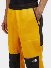 Штани спортивні The North Face модель NF0A7UR556P1 Фото