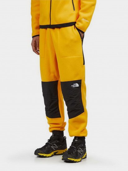 Штани спортивні The North Face модель NF0A7UR556P1 - фото