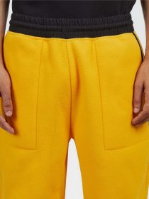 Штаны спортивные The North Face модель NF0A7UR556P1 Фото