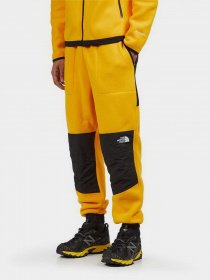 Штаны спортивные The North Face модель NF0A7UR556P1 Фото