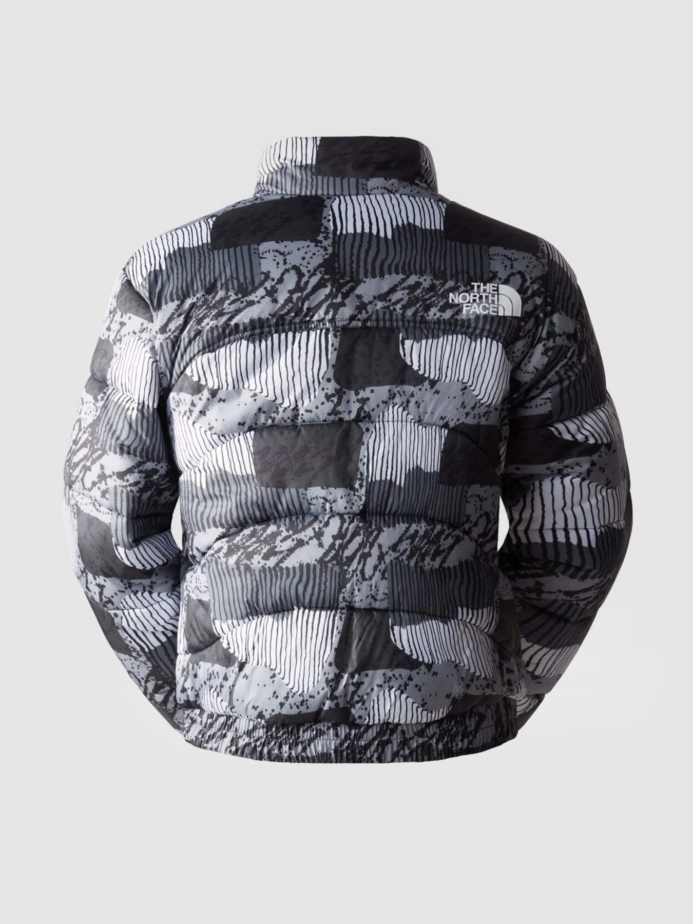 Зимняя куртка The North Face 2000 Synthetic Puffer модель NF0A7UREONZ1 Фото