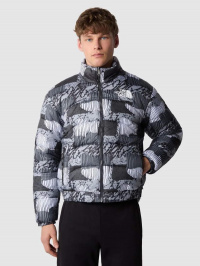 Принт - Демісезонна куртка The North Face 2000 Synthetic Puffer