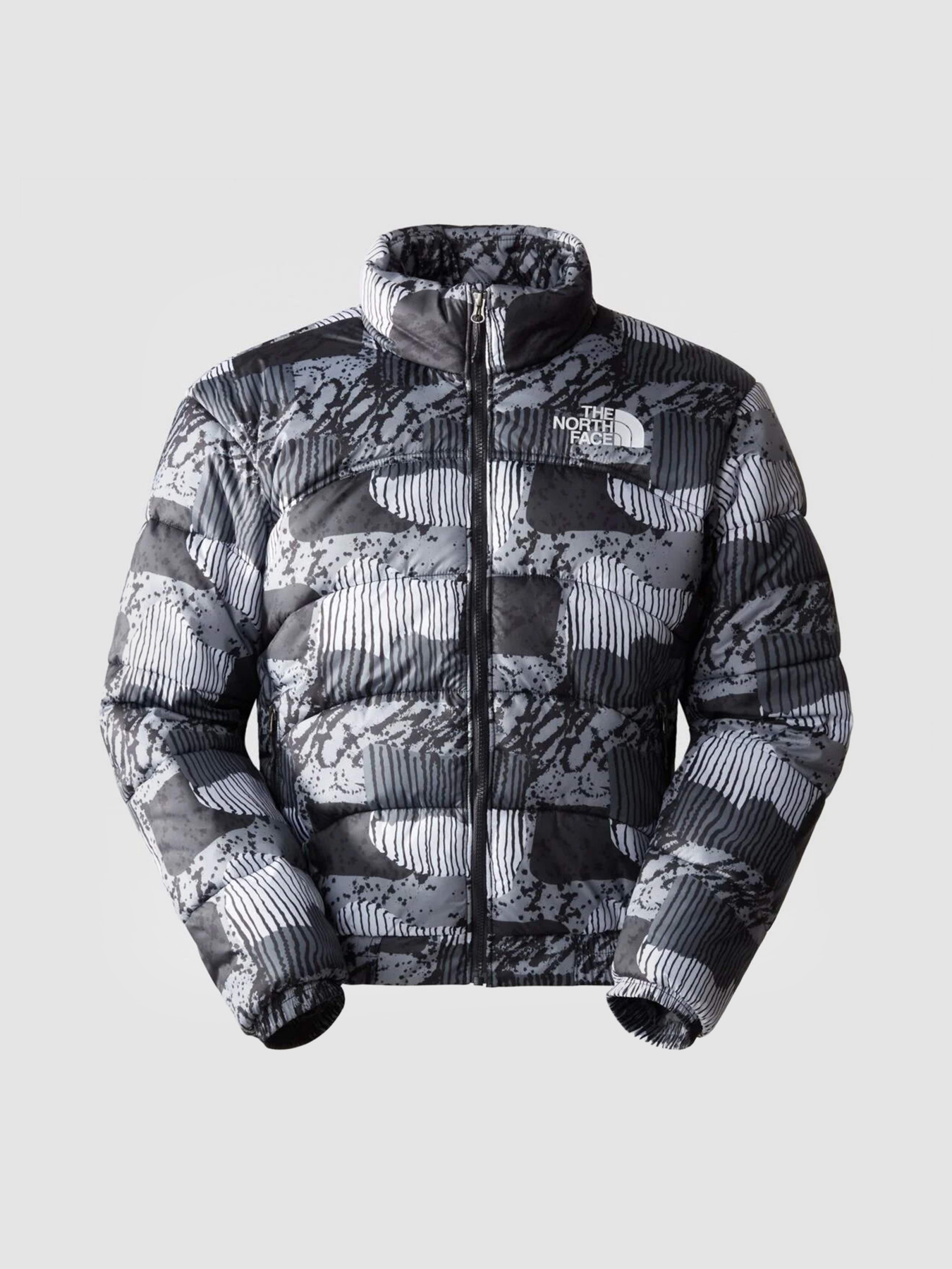 Зимняя куртка The North Face 2000 Synthetic Puffer модель NF0A7UREONZ1 Фото