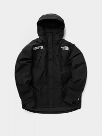Зимняя куртка The North Face GTX Mountain Guide Insulated модель NF0A831KJK31 Фото