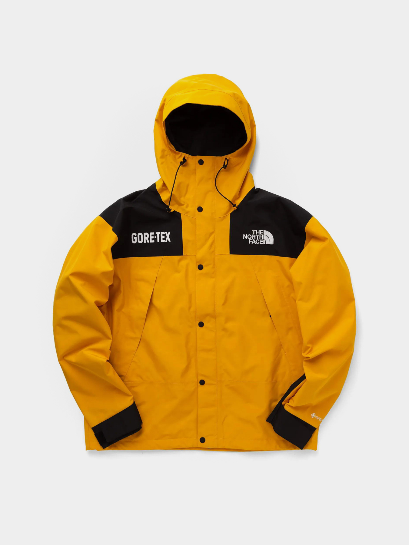 Зимова куртка The North Face GTX Mountain Guide Insulated модель NF0A831MZU31 Фото