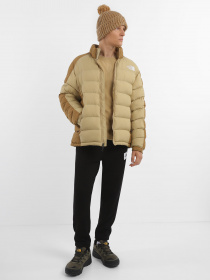 Демісезонна куртка The North Face Micro Ripstop Down модель NF0A852FQV31 Фото