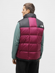 Жилет с утеплителем The North Face Lhotse модель NF0A853DKK91 Фото