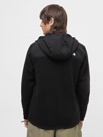 Спортивная кофта The North Face Alpine Polartec® 200 Full-Zip модель NF0A7UJ7KX71 Фото