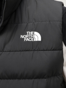 Жилет с утеплителем The North Face Aconcagua 3 модель NF0A84IK0C51 Фото