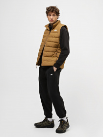 Утепленный жилет The North Face Aconcagua 3 модель NF0A84IK1731 Утепленный жилет The North Face Aconcagua 3 модель NF0A84IK1731 Фото