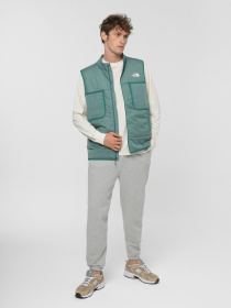 Жилет The North Face Winter Warm Pro модель NF0A84LAI0F1 Фото