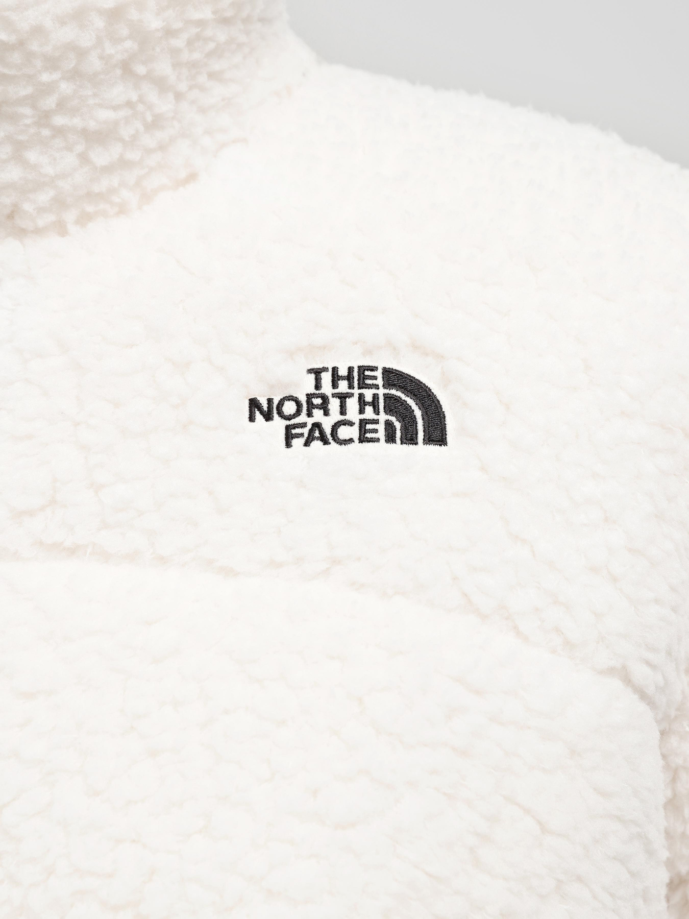 Куртки и дубленки The North Face High Pile 2000 модель NF0A859RN3N1 Фото