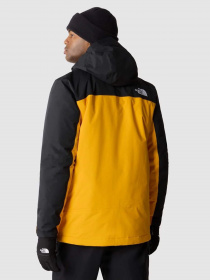 Аутдор и горнолыжная куртка The North Face Freedom модель NF0A82VUZU31 Фото