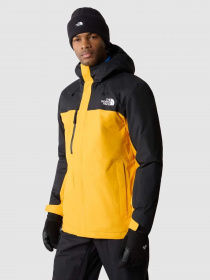 Аутдор и горнолыжная куртка The North Face Freedom модель NF0A82VUZU31 Фото