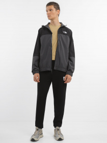Кофта The North Face Shell модель NF0A852SMN81 Фото