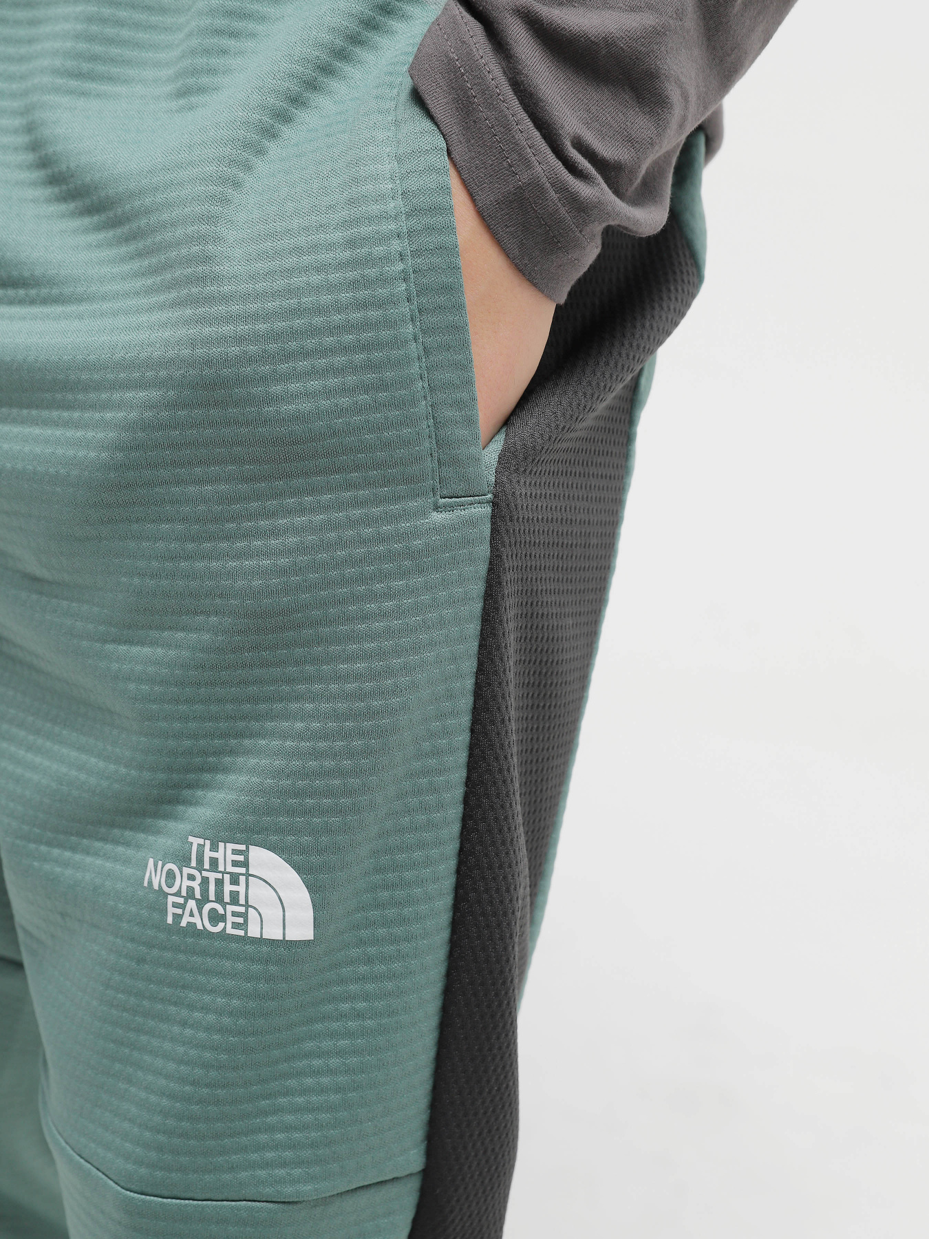 Штаны спортивные The North Face MA Fleece модель NF0A823UONO1 Фото