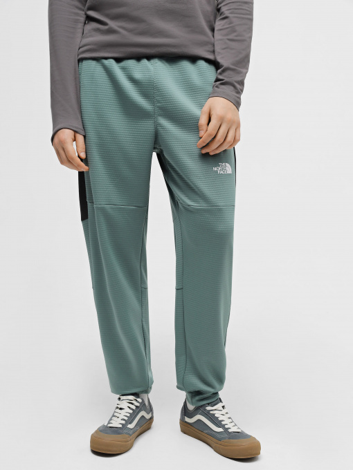 Штаны спортивные The North Face MA Fleece модель NF0A823UONO1 Фото
