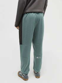 Штаны спортивные The North Face MA Fleece модель NF0A823UONO1 Штаны спортивные The North Face MA Fleece модель NF0A823UONO1 Фото