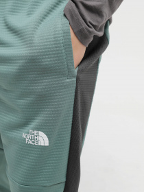 Штаны спортивные The North Face MA Fleece модель NF0A823UONO1 Штаны спортивные The North Face MA Fleece модель NF0A823UONO1 Фото